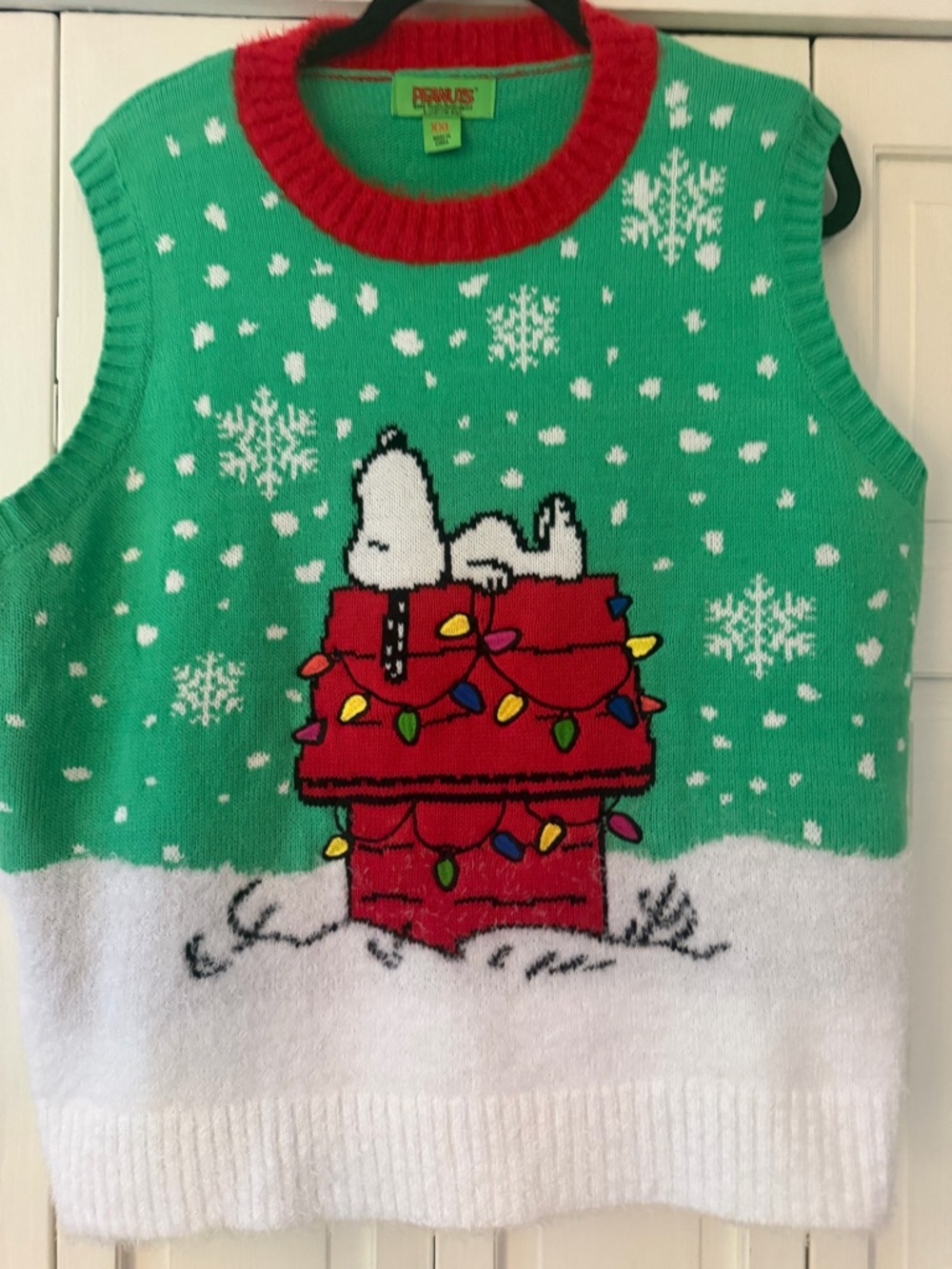 Peanuts Green Sweater with Red Trim